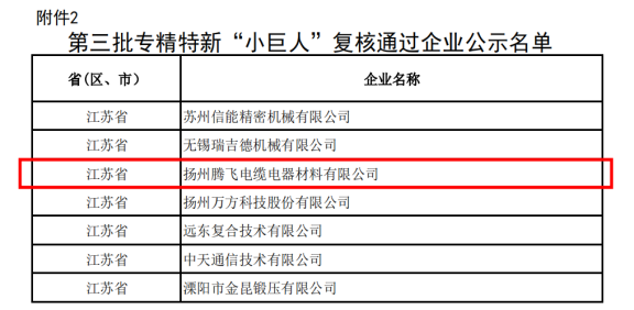 喜訊！揚州騰飛成功通過國家級專精特新“小巨人”企業(yè)復(fù)核